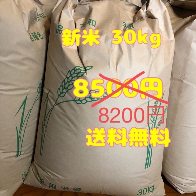 玄米30kg　米/穀物