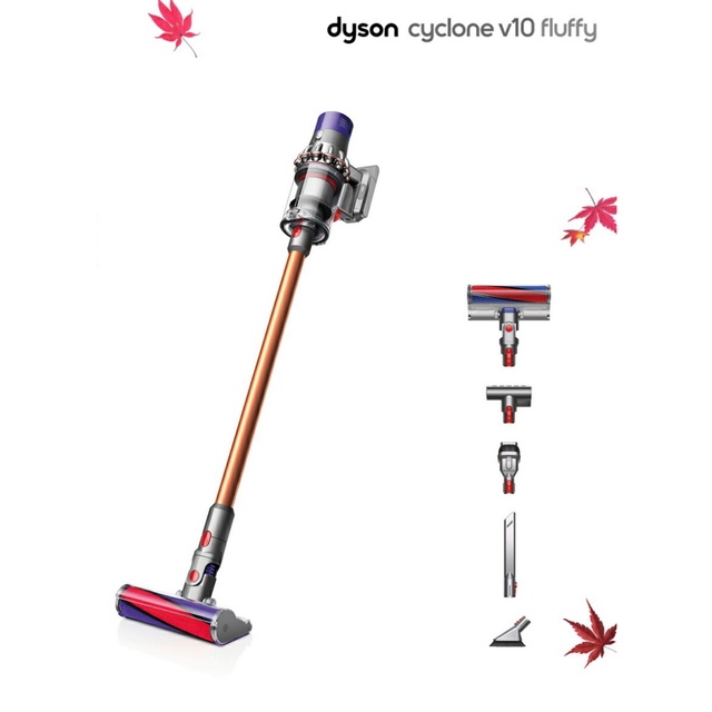 Dyson ダイソン サイクロン v10 フラフィ