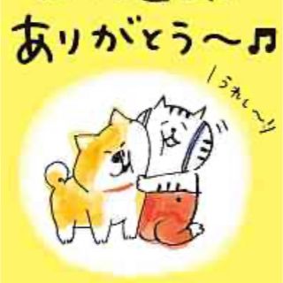 ダントン(DANTON)の専用⭐︎ダントン  ハイパイルフリースジャケット(ノーカラージャケット)