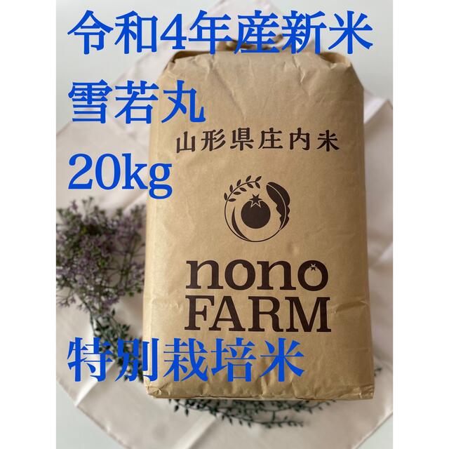✨雪若丸✨20kg✨令和4年産✨山形県庄内産✨ 米 | endageism.com
