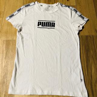 PUMA プーマ 半袖Tシャツ　M(Tシャツ(半袖/袖なし))