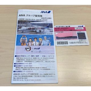 エーエヌエー(ゼンニッポンクウユ)(ANA(全日本空輸))のANA 株主優待券 1枚 2023/5/31まで　優待冊子付き♪(その他)