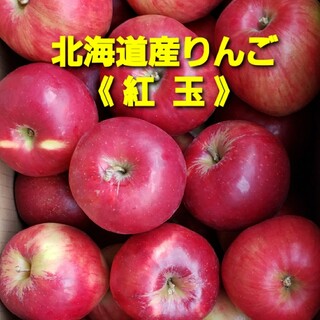 北海道産りんご【紅玉】訳あり品　約５キロ(フルーツ)