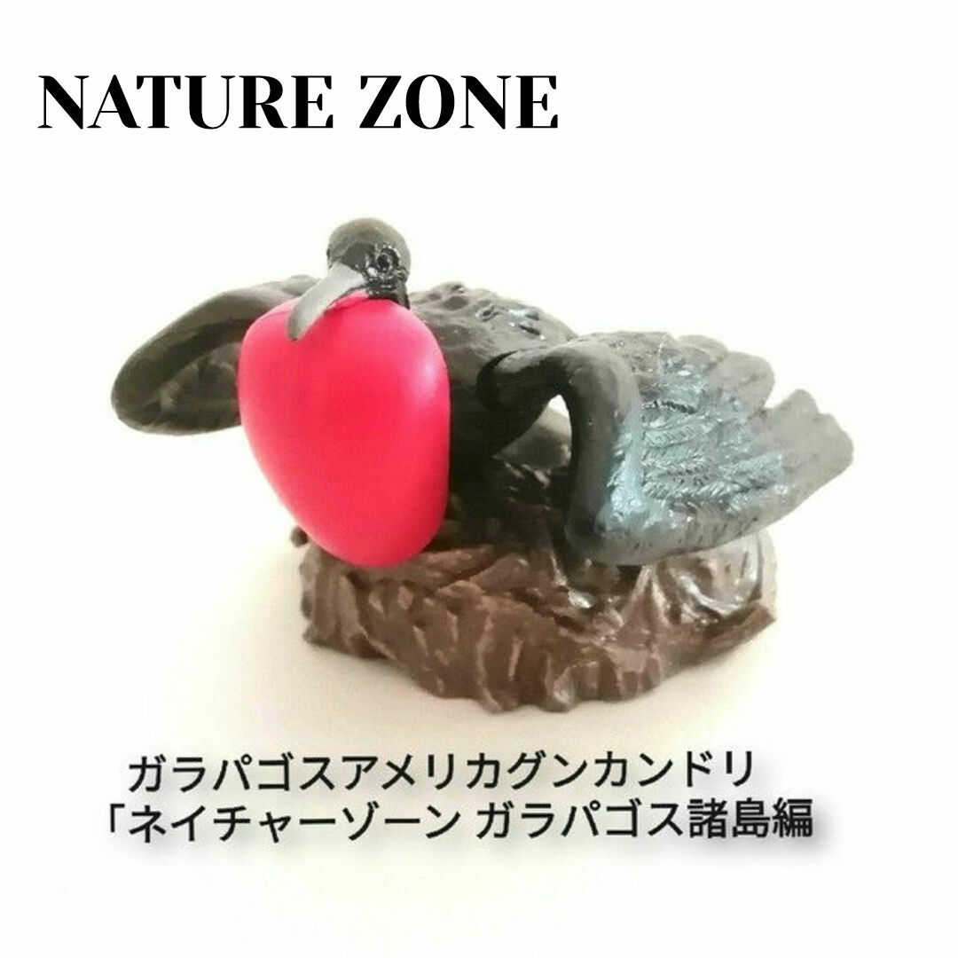 BANDAI(バンダイ)の🉐【単品】NATURE ZONE ~ガラパゴス諸島編~アメリカグンカンドリ1種 エンタメ/ホビーのフィギュア(その他)の商品写真