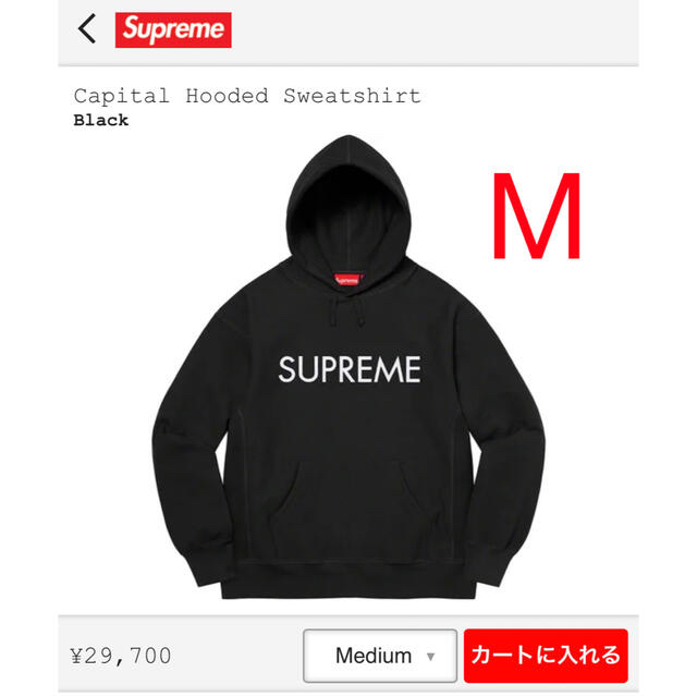 XL肩幅Supreme シュプリーム パーカー 22SS capital hooded sweatshirt キャピタル フーデッド スウェットシャツ ブラウン系 XL【新古品】【未使用】