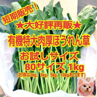 短期出品無くなり次第終了！★鳥取県産特大肉厚ほうれん草1㎏ 野菜(野菜)