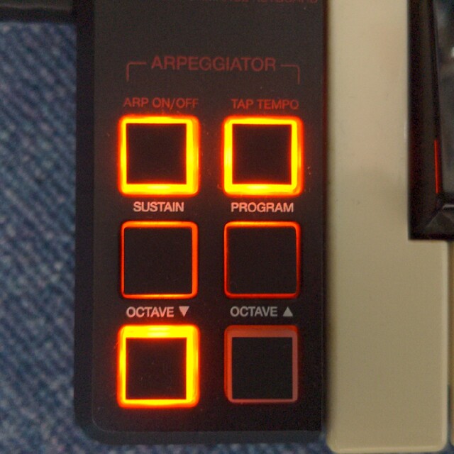 AKAI LPK25 MIDIコントローラ 楽器のDTM/DAW(MIDIコントローラー)の商品写真
