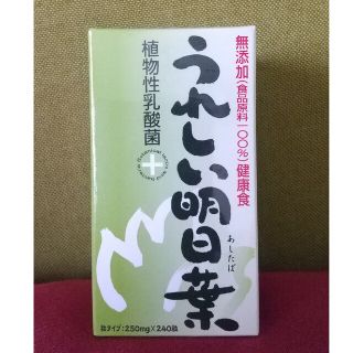 うれしい明日葉 植物性乳酸菌+(青汁/ケール加工食品)