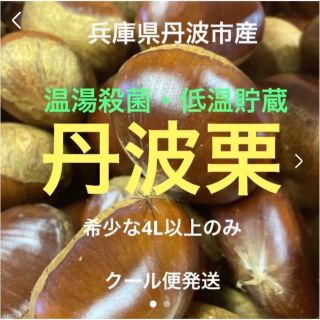 兵庫県丹波市産 丹波栗 4L 1kg クール便の通販 by ぬぬファーム|ラクマ