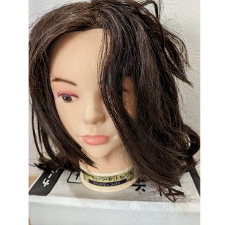 イル様専用　　ウィッグ　（写真の箱は含みません）(その他)