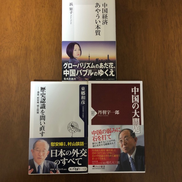 集英社(シュウエイシャ)の新書3 冊セット「歴史認識を問い直す」「中国の大問題」「中国経済あやうい本質」 エンタメ/ホビーの本(人文/社会)の商品写真