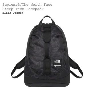 シュプリーム(Supreme)のSupreme The North Face Backpack(バッグパック/リュック)