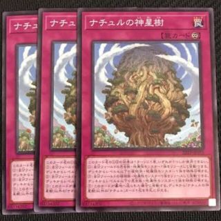 コナミ(KONAMI)のナチュルの神星樹　ノーマル三枚【地属性】(シングルカード)