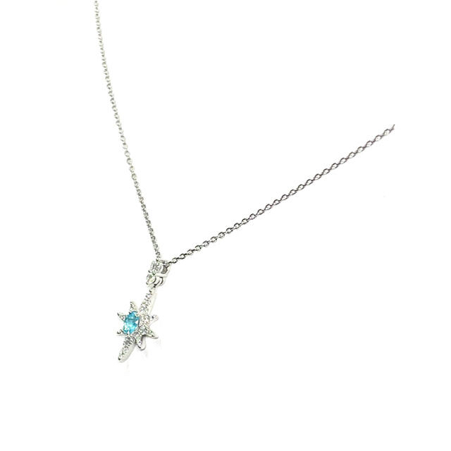 －重さ【10月SALE】【Star Jewelry】パライバトルマリン/D ネックレス