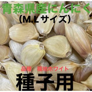 青森県産にんにくバラ種500g(野菜)