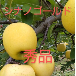 信州産 りんご「シナノゴールド」(秀品)3㎏9～12玉(フルーツ)