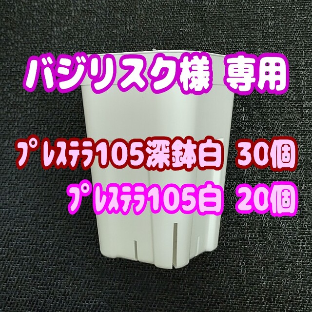 【スリット鉢】プレステラ深鉢105白30個 他 多肉植物 プラ鉢