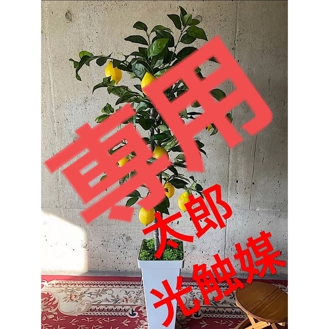 光触媒人工観葉植物ウォールグリーンフェイクフラワーハンドメイド