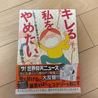 キレる私をやめたい 夫をグ－で殴る妻をやめるまで(その他)