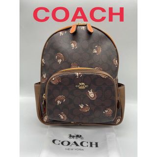 コーチ(COACH)の ★新品★COACH リュック バックパック  キャンバスヘッジホッグ プリント(リュック/バックパック)