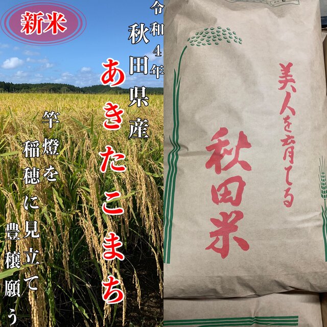 農家直送!令和4年 秋田県産【あきたこまち】玄米25kg 減農薬〈新米