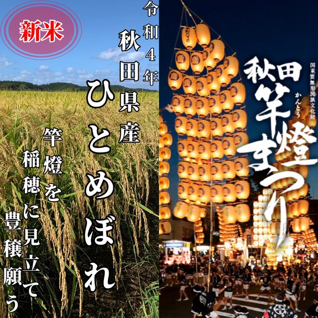 農家直送！令和4年 秋田県産【ひとめぼれ】玄米20kg 減農薬〈新米〉特A地区！農家直送