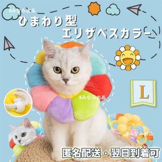 【虹色L】ソフト エリザベスカラー 術後服犬猫 雄雌 舐め防止 避妊 去勢 手術(猫)