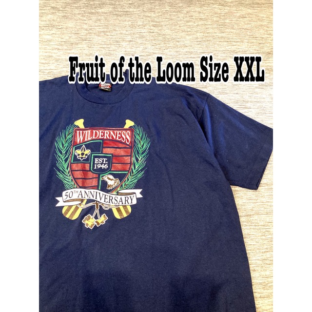 FRUIT OF THE LOOM(フルーツオブザルーム)のFruits of the loom Tシャツ　カレッジ　Vintage メンズのトップス(Tシャツ/カットソー(半袖/袖なし))の商品写真