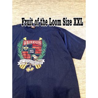 フルーツオブザルーム(FRUIT OF THE LOOM)のFruits of the loom Tシャツ　カレッジ　Vintage(Tシャツ/カットソー(半袖/袖なし))