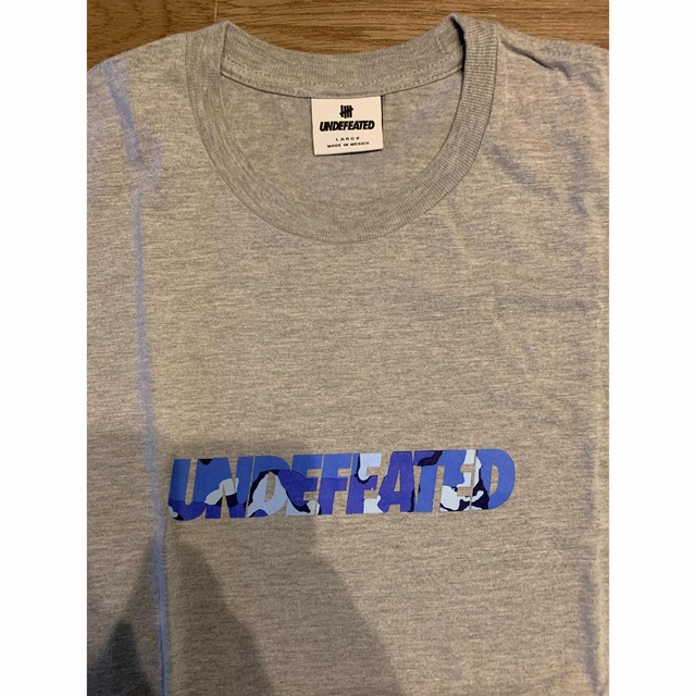 UNDEFEATED(アンディフィーテッド)の美品　undefeated Tシャツ メンズのトップス(Tシャツ/カットソー(半袖/袖なし))の商品写真