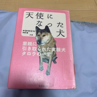 天使になった犬 里親に引き取られた実験犬タロウの一生(絵本/児童書)