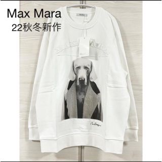 新品未使用マックスマーラMaxMara☆2022AW新作コットンスウェット