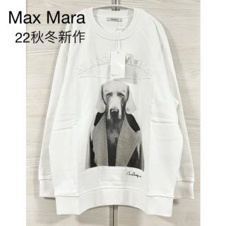 Max Mara - 新品未使用マックスマーラMaxMara☆2022AW新作コットン ...