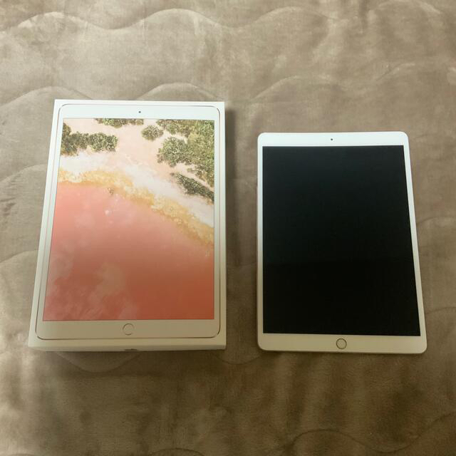 ジャンク品】iPad Pro 2017 10.5inch WiｰFi 64GB | www.szoce.hu