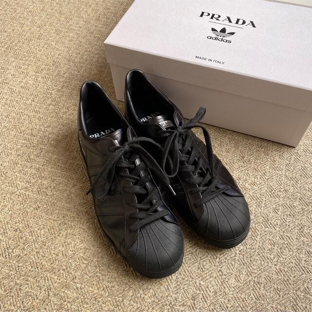 WEB限定】 PRADA スーパースター スニーカー adidas】プラダ ...