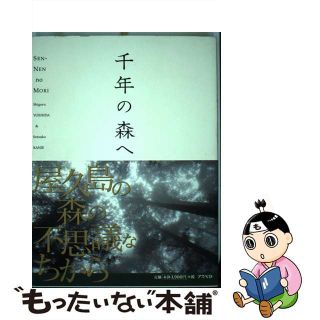 【中古】 千年の森へ/アスペクト/吉田繁(その他)