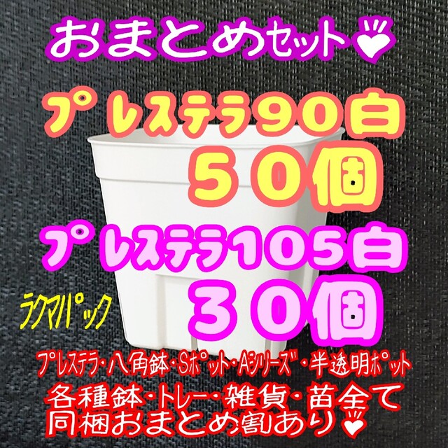 【スリット鉢】プレステラ90白50個・105白30個 多肉植物 プラ鉢 ハンドメイドのフラワー/ガーデン(プランター)の商品写真