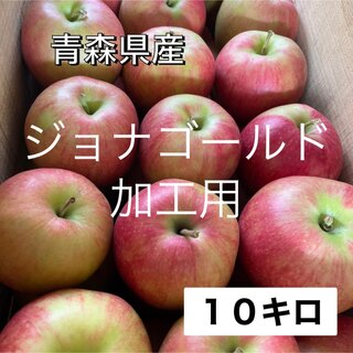 青森県産　りんご　ジョナゴールド　加工用　１０キロ(フルーツ)