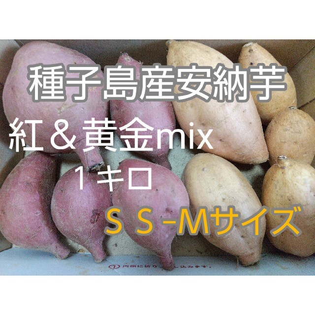 種子島産安納芋紅＆黄金食べ比べ 食品/飲料/酒の食品(野菜)の商品写真