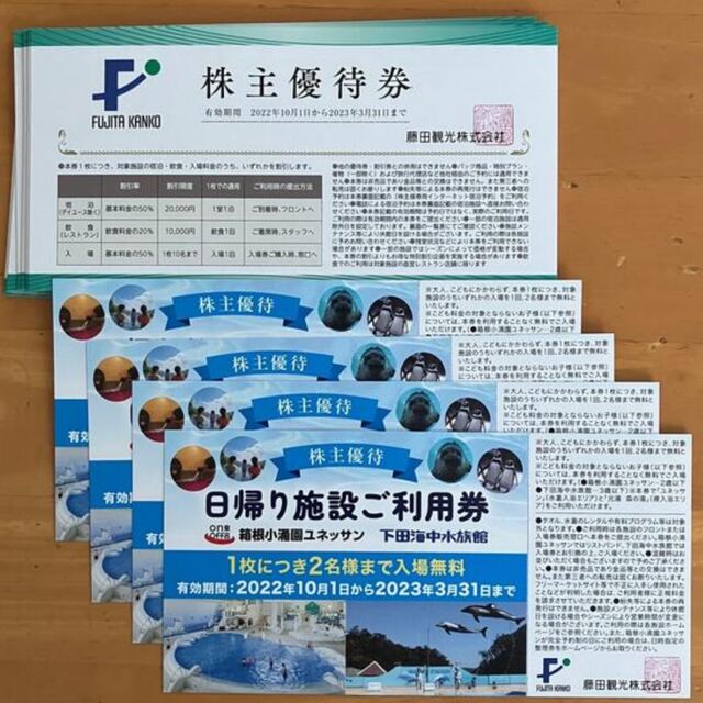 安全Shopping 藤田観光 株主優待 日帰り施設ご利用券 2枚 2023年3月