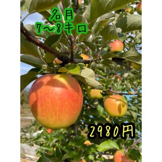 幻の名月　特売！　送料無料　農家直送　りんご(名月)　7〜8キロ(フルーツ)