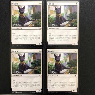 マジックザギャザリング(マジック：ザ・ギャザリング)の <新品> 聖なる猫/Sacred Cat [AKH] 白C 4枚セット(シングルカード)