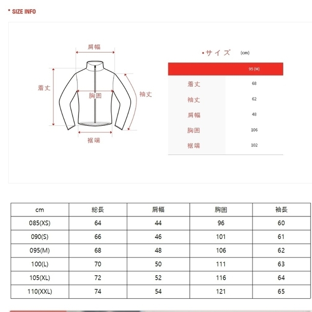 THE NORTH FACE(ザノースフェイス)の【日本未発売】 SAVE THE EARTH FLEECE HOODIE　L メンズのジャケット/アウター(マウンテンパーカー)の商品写真