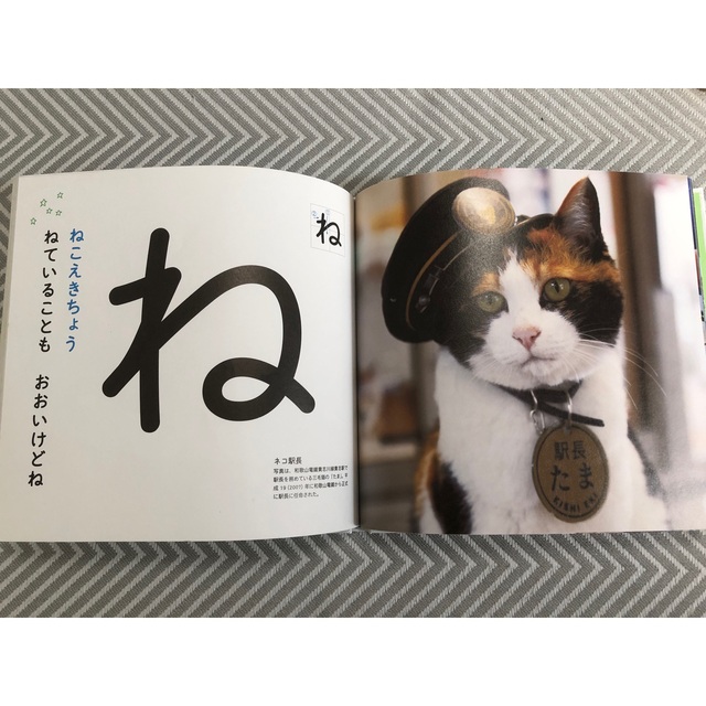 【知育絵本】でんしゃのあいうえお&しまじろう エンタメ/ホビーの本(絵本/児童書)の商品写真