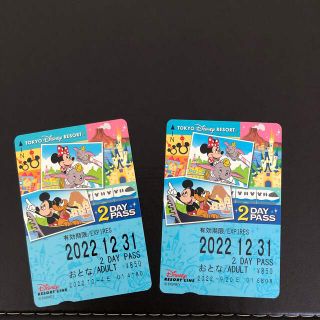 ディズニー(Disney)のディズニーリゾートライン　2DAY PASS 大人2枚セット(遊園地/テーマパーク)