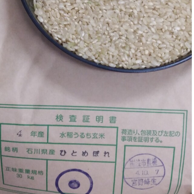 ひとめぼれ　玄米３０kg　令和４年産　米/穀物