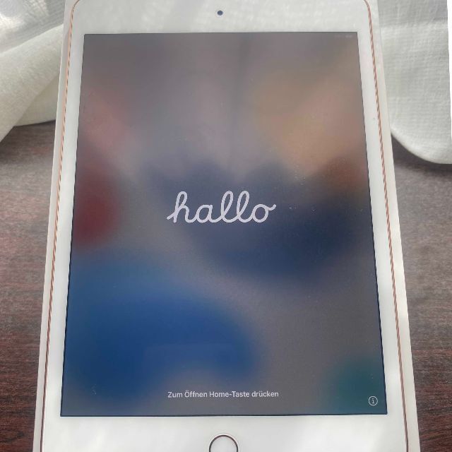iPad mini 5 第5世帯 Wi-Fi モデル 64GB [ゴールド] 2