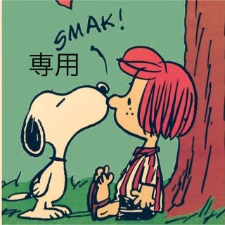 スヌーピー(SNOOPY)のimmi様専用(ハンカチ)