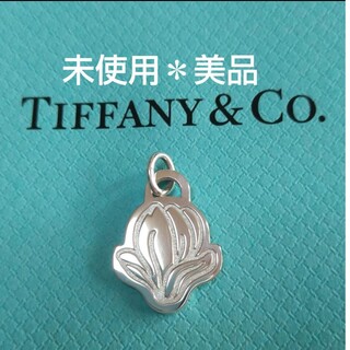 ティファニー(Tiffany & Co.)の専用です！(ネックレス)