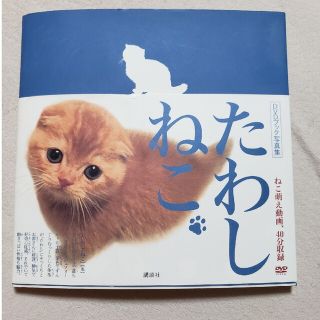 たわしねこ ＤＶＤブック写真集(趣味/スポーツ/実用)